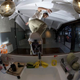 Illustration for article titled The Skateboard Ramp House, Or When Adolescence Makes Too Much Money